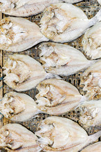 The Prepared Fish Fillets