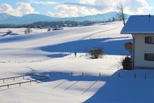 Einsamer Skiwanderer In Traumhafter, Hügeliger Landschaft, Allgäu, Bayern