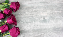 Pink Roses Over Rustic Wooden Background, Horizontal, Copy Space