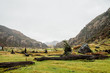 © Justin Mullet/Stocksy - Bright green grass in rugged landscape of Chile.