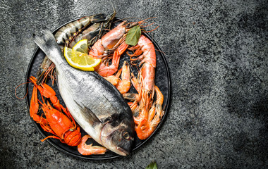 Canvas Print - Fresh seafood, dorado and shrimp.