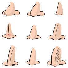 Vector Set Of Nose