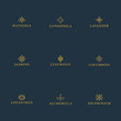 Set of luxury logo templates. Geometric stylized elements for ornaments, monogram, restaurant, floral, wedding vector design.