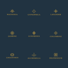 Set of luxury logo templates. Geometric stylized elements for ornaments, monogram, restaurant, floral, wedding vector design.