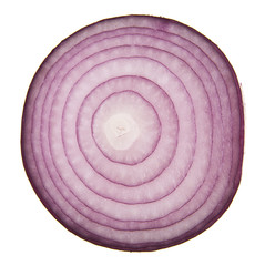 Canvas Print - onions isolated on a white background