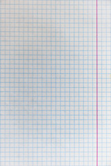 Sheet from school notebook in the cage