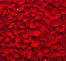 Background Of Red Rose Petals