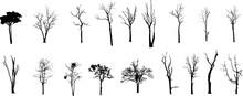 Dead Tree Without Leaves Vector