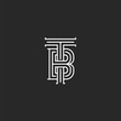Elegant logo TB letters initials monogram, combination two letters T and B marks, black and white calligraphic linear BT emblem mockup