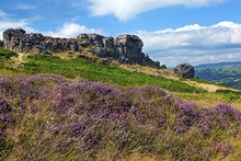 Cow And Calf Rocks, Ilkley Moor, Yorkshire, England
