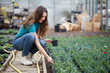 © Stocked House Studio - woman working in a garden store