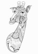 Giraffe head doodle on white background. vector