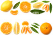 © Tatiana - mandarin with slices, lemon and green leaf isolated on white background top view