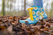 Child’s wearing sky blue wellies with daisy patterns playing in a forest in autum leaves on a bright cold morning