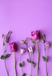 © Pixel Stories/Stocksy - Purple tulips and roses on purple background