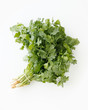 © Naoko Kakuta/Stocksy - bundle of cilantro on white background