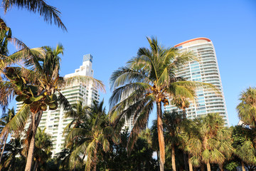 Wall Mural - Miami beach