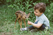 © AD Photography/Stocksy - Little boy playing with fawn