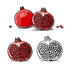 Sticker - Pomegranate, sketch for your design