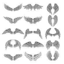 Tattoo Design Pictures Of Different Stylized Wings. Vector Illustrations For Logos Design