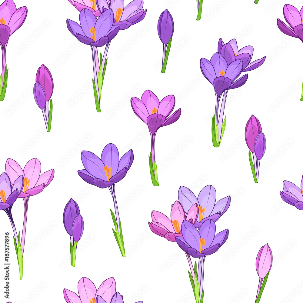 Crocus saffron purple violet spring flowers seamless pattern. Simple small  flowers clean drawing on white background. March april blooming forest  field. Vector design illustration. Stock Vector | Adobe Stock, image size:1000x1000