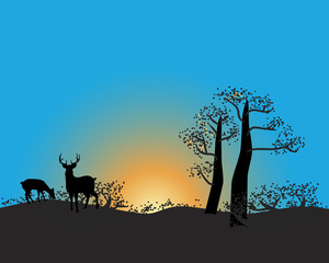 Wall Mural - African wildlife background. Sunset vector nature background.