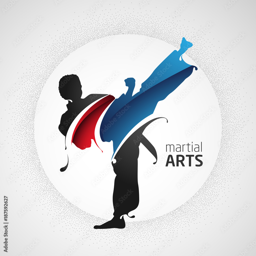 фотографія karate kick silhouette splash martial arts
