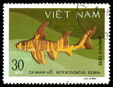 Ukraine - Circa 2018: A Postage Stamp Printed In Vietnam Shows Drawing Zebra Bullhead Shark Or Heterodontus Zebra. Series: Shark And Dogfish. Circa 1980.