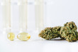 © nokturnal - Medizinische Cannabis Öl Kapseln und Knospen