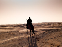 Douz, Tunisia, Arabian Knight In The Desert At Sunset