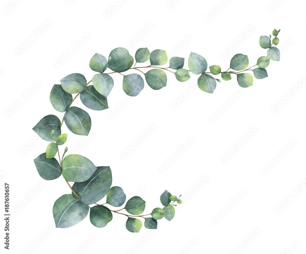 Watercolor vector wreath with green eucalyptus leaves and branches ...