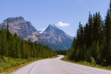 Fototapeta Góry - Scenic Icefields Parkway highway in Rocky Mountains, Alberta, Canada on sunny day