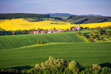 Endless Green Fields, Rolling Hills, Tractor Tracks, Spring Landscape Under Blue Sky. South Moravia, Czech Republic