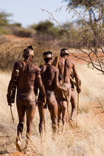 Bushmen Of The Kalahari Desert In Africa