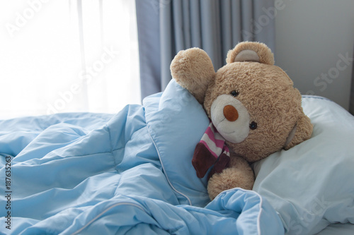 teddy in bed