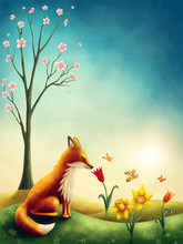 Illustration Of A Little Red Fox