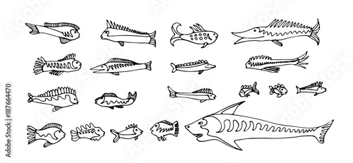 Set Of Cartoon Fishes Vector Hand Drawn Outline Clipart Aquarium