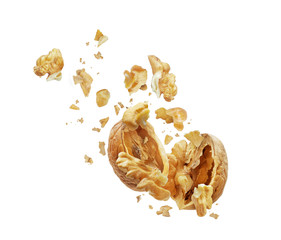 Poster - Walnut is torn to pieces isolated on white background