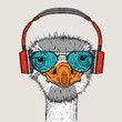 Portrait of an ostrich in headphones. Can be used for printing on T-shirts, flyers, etc. Vector illustration