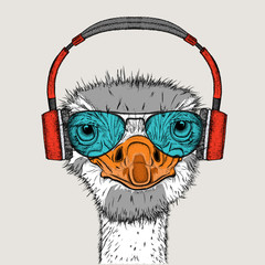 Portrait of an ostrich in headphones. Can be used for printing on T-shirts, flyers, etc. Vector illustration