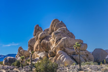 Awesome Joshua Tree National Park Rock Formations