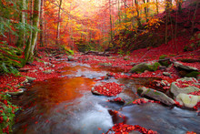 White Mountains Autumn Free Stock Photo - Public Domain Pictures