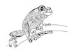 Frog on the branch. Doodle for coloring. Vector