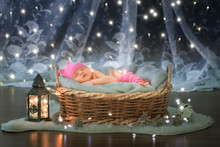 Newborn Baby Sleeping In A Basket