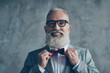 © deagreez - Close up portrait of joyful excited with toothy beaming smile stylish trendy grey-haired groomed sharp dressed elegant smart handsome attractive entrepreneur choose bow-tie isolated on gray background