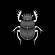 Graphic illustration of scarab engraved on black background