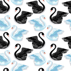  swan couple pattern vector illustration.
