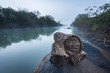 © Kostadin Luchansky - Cestos, armadilhas artesanais para pesca no rio Cubango em Angola