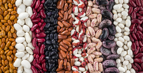 a set of various kidney beans.