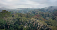 A Floresta Húmida Tropical Dos Dembos Em Angola Vista Do Ar Com Drone